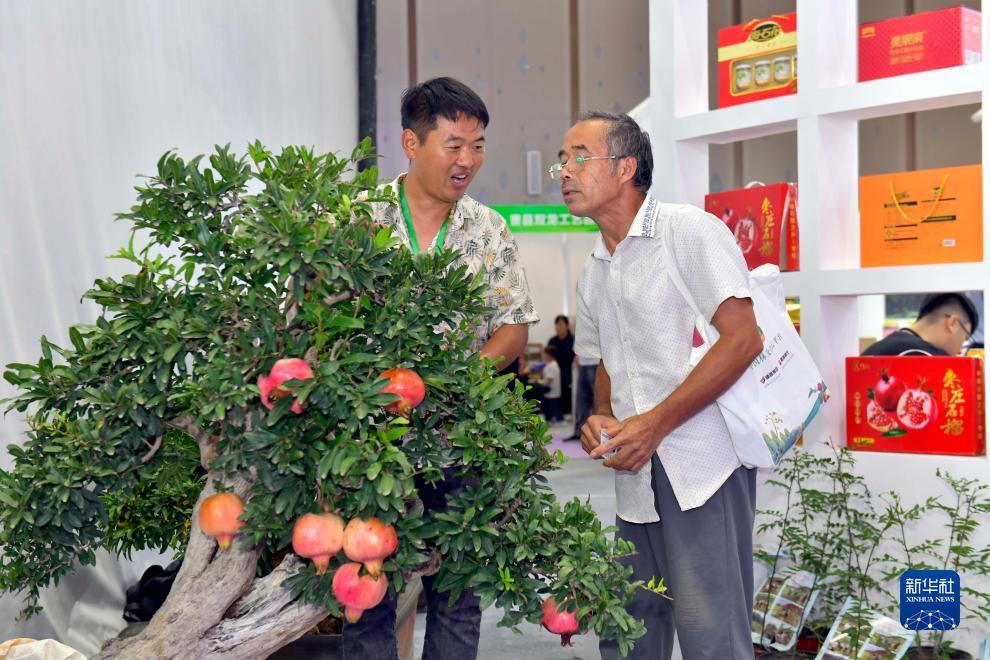 辉煌糖果派对网站